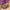 Promotion banner
