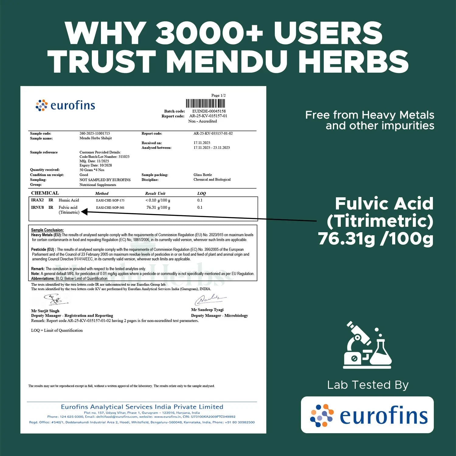 Mendu Herbs 100% Pure Shilajit Resin | 50 Gram - Mendu Herbs