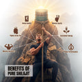 Mendu Herbs 100% Pure Shilajit Resin | 50 Gram - Mendu Herbs